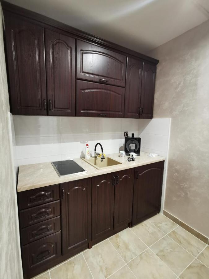 Panorama Apartman ノヴィ・サド エクステリア 写真